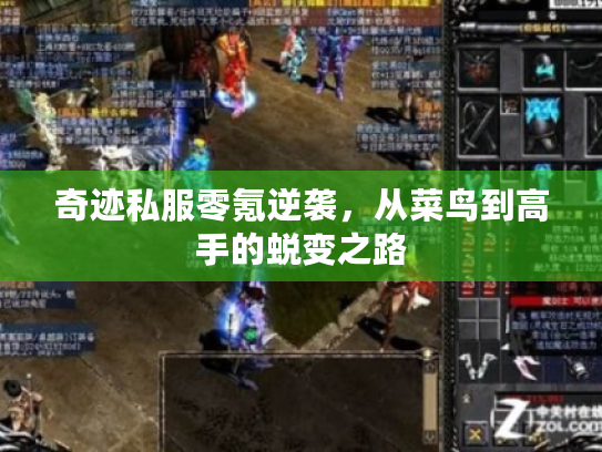 奇迹私服零氪逆袭,从菜鸟到高手的蜕变之路 奇迹私服零氪逆袭,从菜鸟到高手的蜕变之路