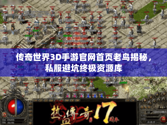 传奇世界3D手游官网首页老鸟揭秘，私服避坑终极资源库