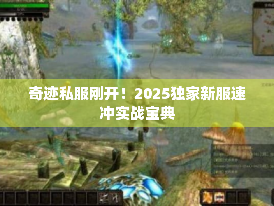 奇迹私服刚开!2025独家新服速冲实战宝典 奇迹私服刚开!2025独家新服速冲实战宝典