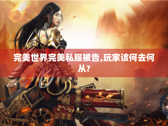 完美世界完美私服被告,玩家该何去何从?