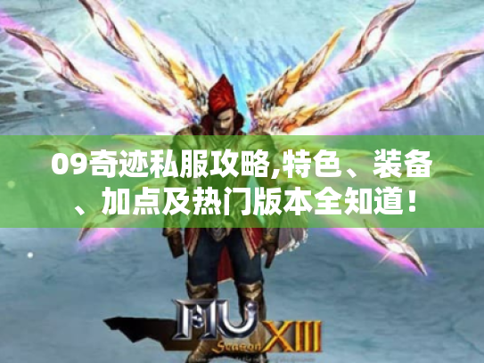 09奇迹私服攻略,特色、装备、加点及热门版本全知道！