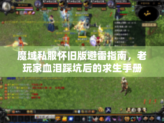 魔域私服怀旧版避雷指南，老玩家血泪踩坑后的求生手册