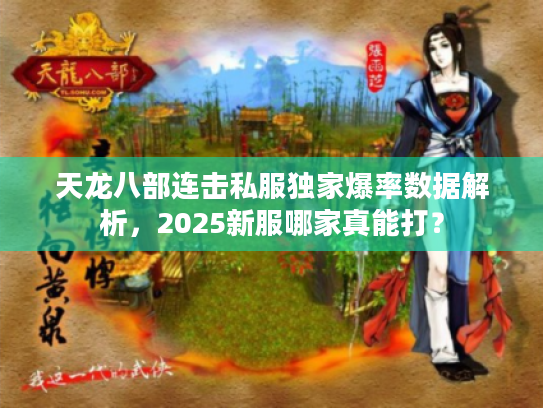 天龙八部连击私服独家爆率数据解析，2025新服哪家真能打？