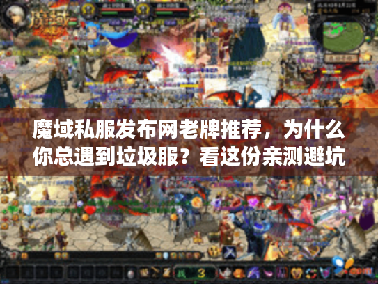 魔域私服发布网老牌推荐，为什么你总遇到垃圾服？看这份亲测避坑方案