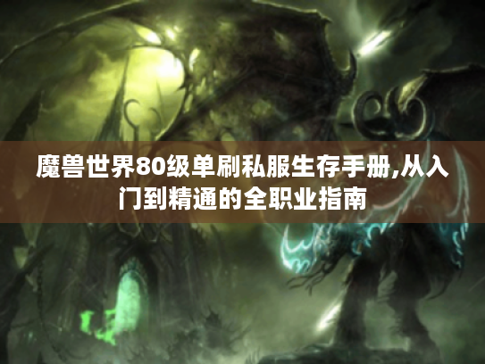 魔兽世界80级单刷私服生存手册,从入门到精通的全职业指南