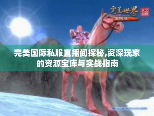 完美国际私服直播间探秘,资深玩家的资源宝库与实战指南