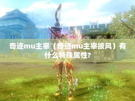 奇迹mu主宰（奇迹mu主宰披风）有什么特殊属性?