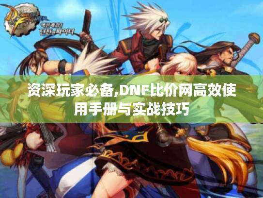 资深玩家必备,DNF比价网高效使用手册与实战技巧