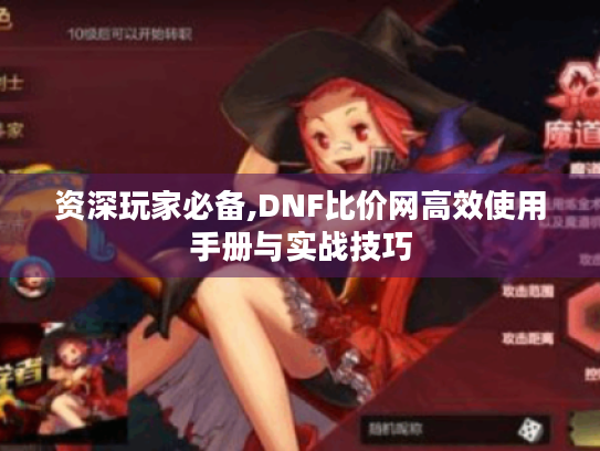 资深玩家必备,DNF比价网高效使用手册与实战技巧