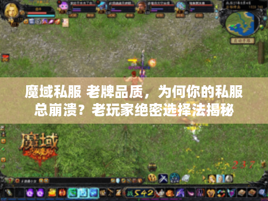 魔域私服 老牌品质，为何你的私服总崩溃？老玩家绝密选择法揭秘