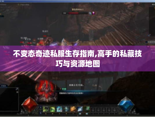 不变态奇迹私服生存指南,高手的私藏技巧与资源地图