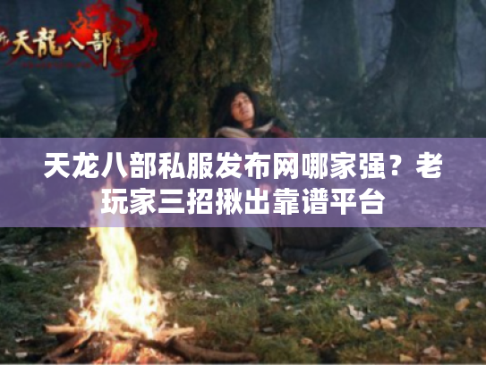 天龙八部私服发布网哪家强？老玩家三招揪出靠谱平台