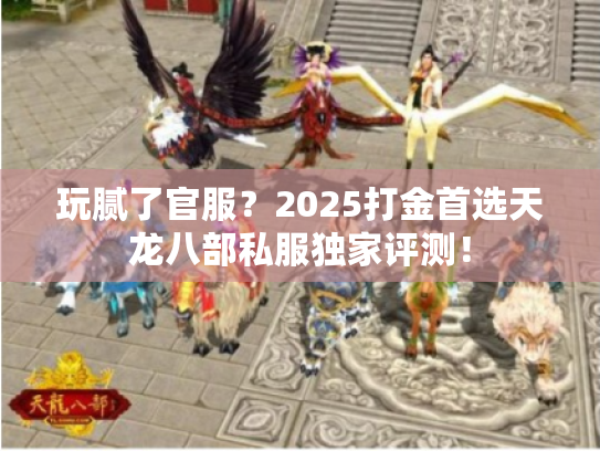 玩腻了官服？2025打金首选天龙八部私服独家评测！