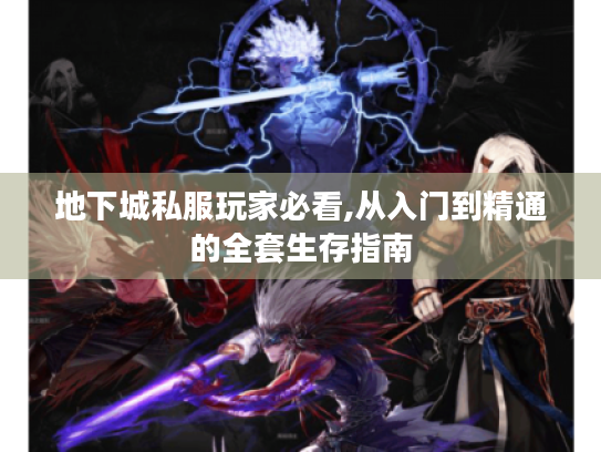 地下城私服玩家必看,从入门到精通的全套生存指南