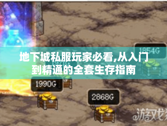 地下城私服玩家必看,从入门到精通的全套生存指南
