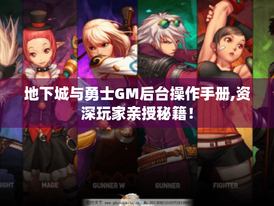 地下城与勇士GM后台操作手册,资深玩家亲授秘籍！