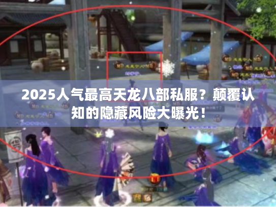 2025人气最高天龙八部私服？颠覆认知的隐藏风险大曝光！