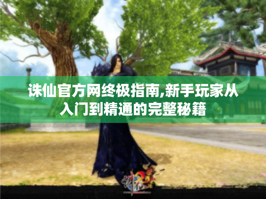 诛仙官方网终极指南,新手玩家从入门到精通的完整秘籍