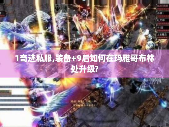 1奇迹私服,装备+9后如何在玛雅哥布林处升级? 1奇迹私服,装备+9后如何在玛雅哥布林处升级?