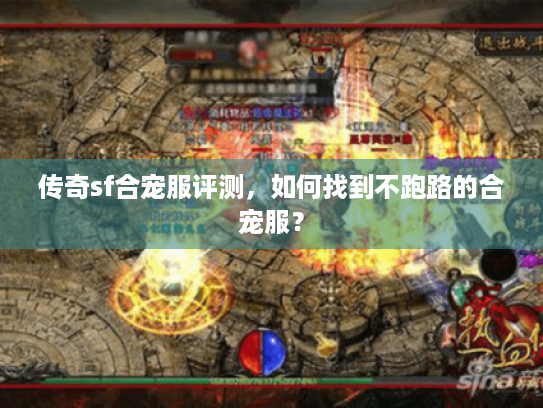 传奇sf合宠服评测，如何找到不跑路的合宠服？