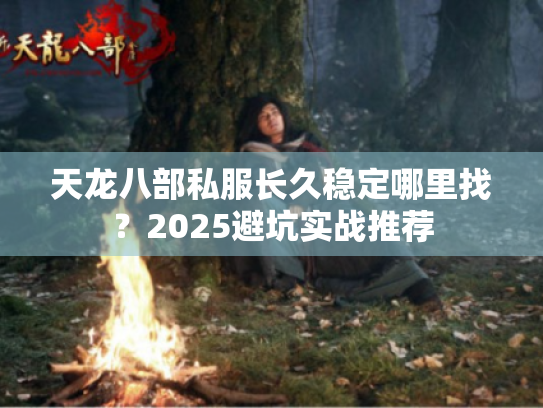 天龙八部私服长久稳定哪里找？2025避坑实战推荐