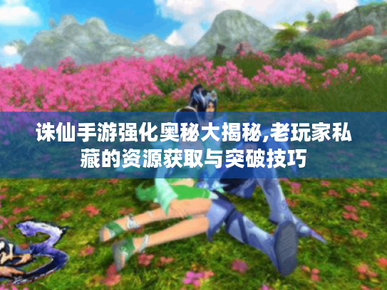 诛仙手游强化奥秘大揭秘,老玩家私藏的资源获取与突破技巧 诛仙手游强化奥秘大揭秘,老玩家私藏的资源获取与突破技巧