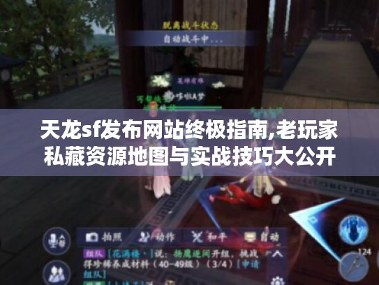 天龙sf发布网站终极指南,老玩家私藏资源地图与实战技巧大公开