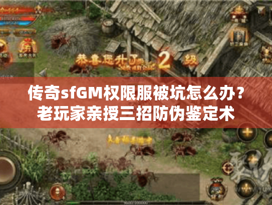 传奇sfGM权限服被坑怎么办？老玩家亲授三招防伪鉴定术