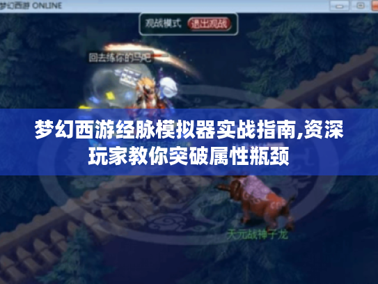 梦幻西游经脉模拟器实战指南,资深玩家教你突破属性瓶颈