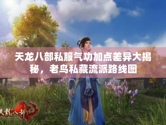 天龙八部私服气功加点差异大揭秘，老鸟私藏流派路线图