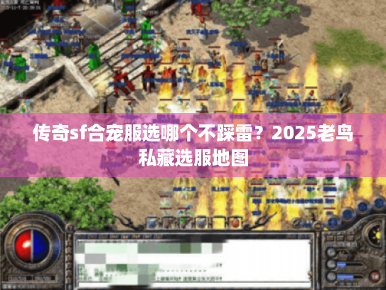 传奇sf合宠服选哪个不踩雷？2025老鸟私藏选服地图