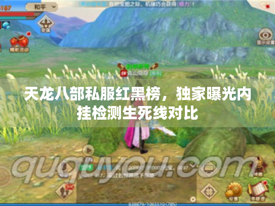 天龙八部私服红黑榜，独家曝光内挂检测生死线对比