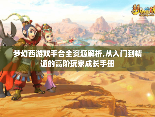 梦幻西游双平台全资源解析,从入门到精通的高阶玩家成长手册