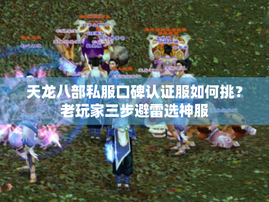 天龙八部私服口碑认证服如何挑？老玩家三步避雷选神服