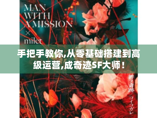 手把手教你,从零基础搭建到高级运营,成奇迹SF大师！