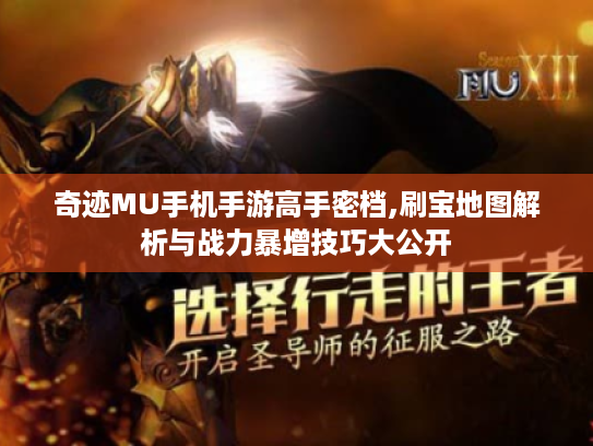 奇迹MU手机手游高手密档,刷宝地图解析与战力暴增技巧大公开 奇迹MU手机手游高手密档,刷宝地图解析与战力暴增技巧大公开