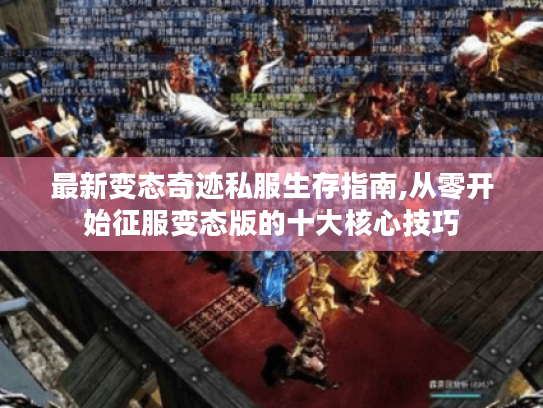 最新变态奇迹私服生存指南,从零开始征服变态版的十大核心技巧