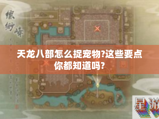 天龙八部怎么捉宠物?这些要点你都知道吗?