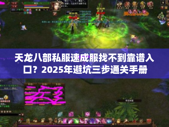 天龙八部私服速成服找不到靠谱入口？2025年避坑三步通关手册