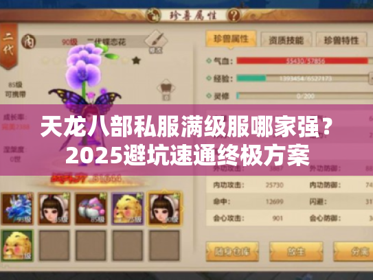 天龙八部私服满级服哪家强？2025避坑速通终极方案