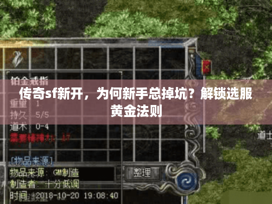 传奇sf新开，为何新手总掉坑？解锁选服黄金法则