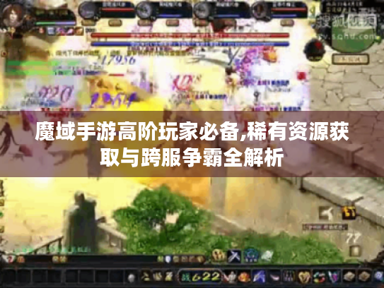 魔域手游高阶玩家必备,稀有资源获取与跨服争霸全解析 魔域手游高阶玩家必备,稀有资源获取与跨服争霸全解析