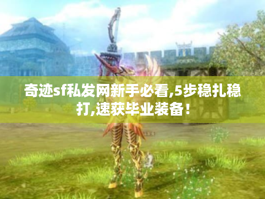 奇迹sf私发网新手必看,5步稳扎稳打,速获毕业装备! 奇迹sf私发网新手必看,5步稳扎稳打,速获毕业装备!