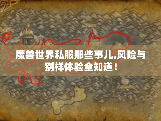 魔兽世界私服那些事儿,风险与别样体验全知道！