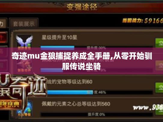 奇迹mu金狼捕捉养成全手册,从零开始驯服传说坐骑