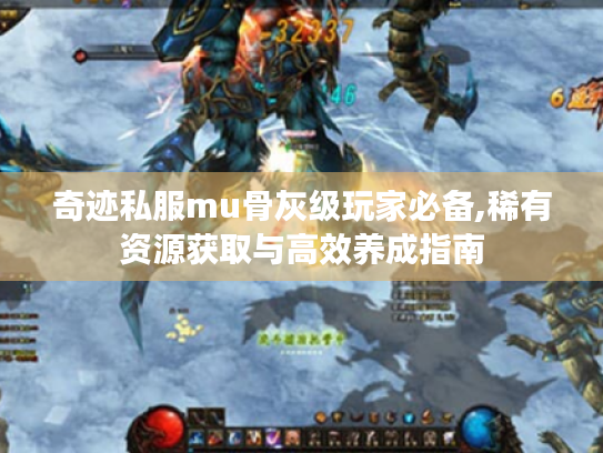 奇迹私服mu骨灰级玩家必备,稀有资源获取与高效养成指南