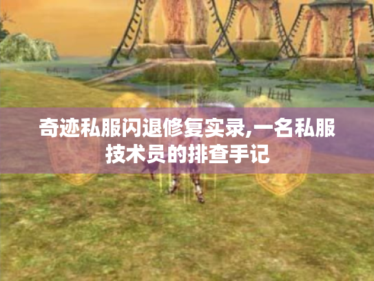 奇迹私服闪退修复实录,一名私服技术员的排查手记