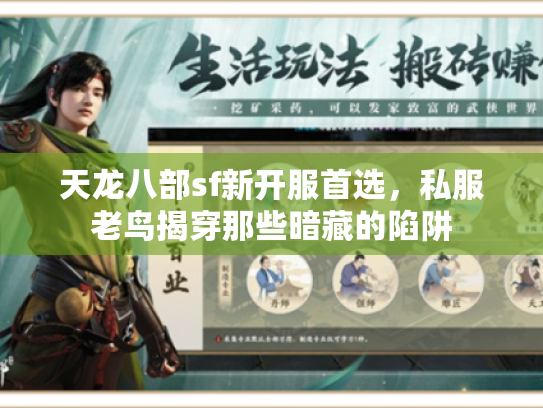 天龙八部sf新开服首选，私服老鸟揭穿那些暗藏的陷阱