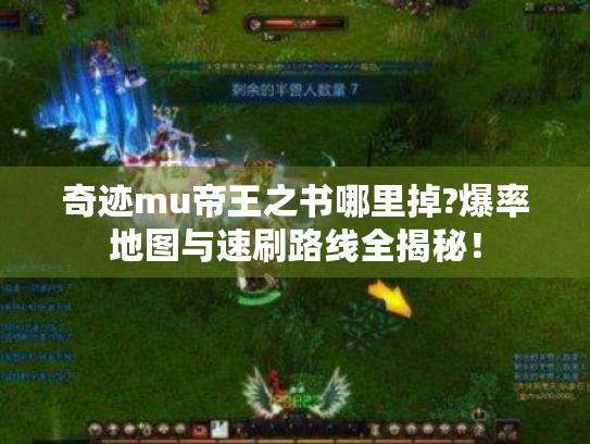 奇迹mu帝王之书哪里掉?爆率地图与速刷路线全揭秘！