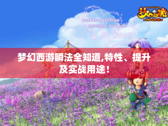 梦幻西游瞬法全知道,特性、提升及实战用途! 梦幻西游瞬法全知道,特性、提升及实战用途!